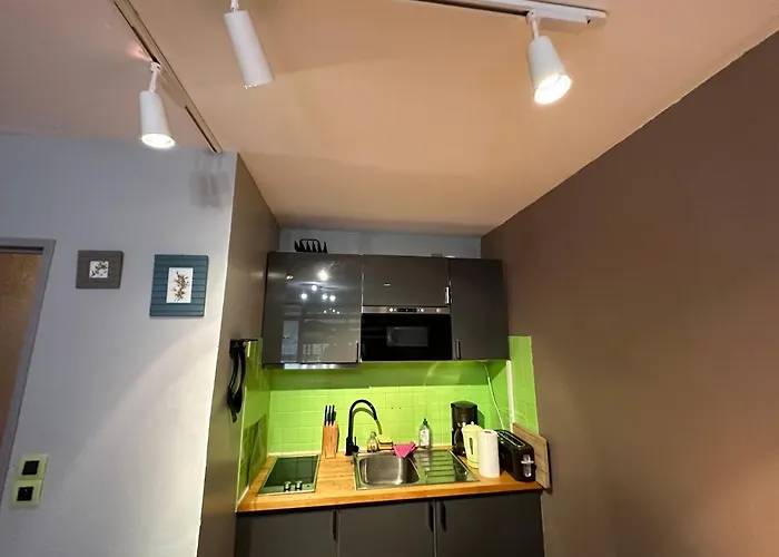 Situe Au Pied Des Pistes De Labresse La Bresse