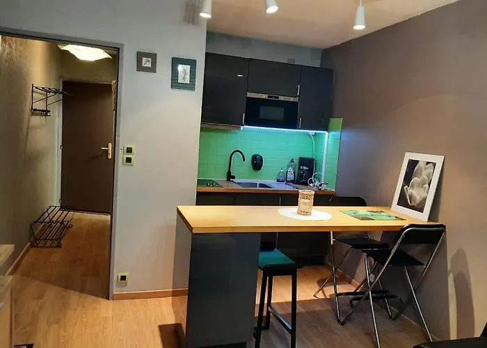 Situe Au Pied Des Pistes De Labresse Apartmán La Bresse